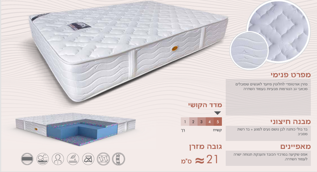 ריץ